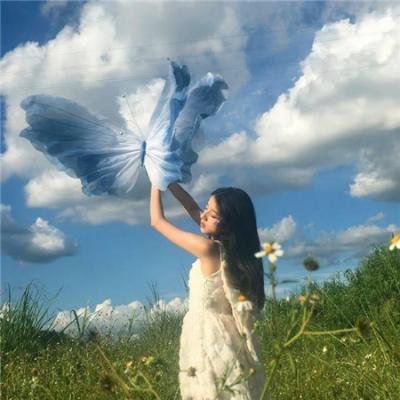 我的珍宝